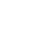 Experienced SAP Professionals